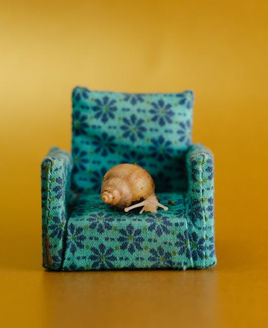Shell chair – kultowy design i praktyczne wskazówki